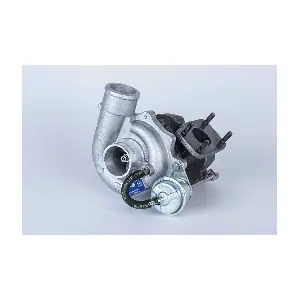 53039880114 BorgWarner