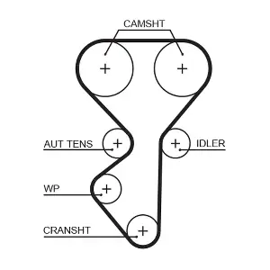 5631XS GATES