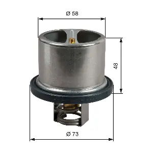 TH52386G1 GATES