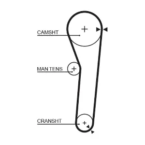 94717 DAYCO