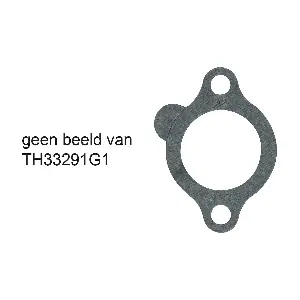 TH33291G1 GATES