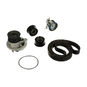 KP25461XS GATES