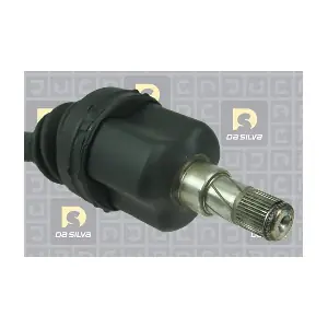 4207T DA SILVA