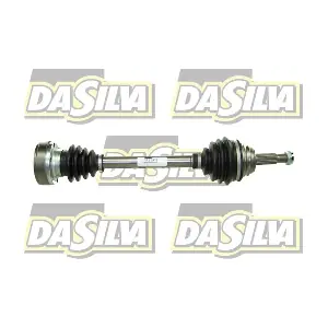 4213T DA SILVA