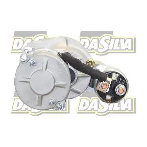 040212 DA SILVA