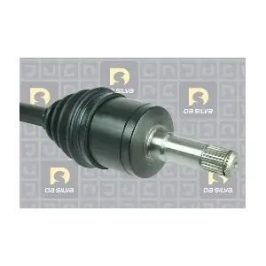31406T DA SILVA