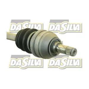 31239T DA SILVA