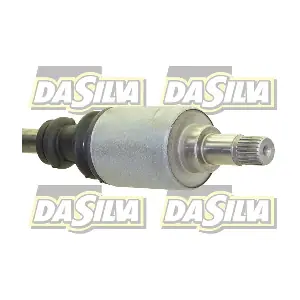 323T DA SILVA