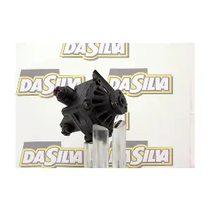 DP2324 DA SILVA