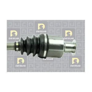 4506T DA SILVA