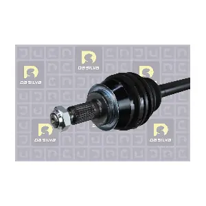 4249T DA SILVA