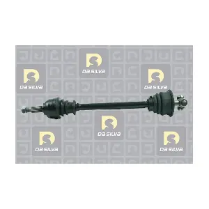 4909T DA SILVA
