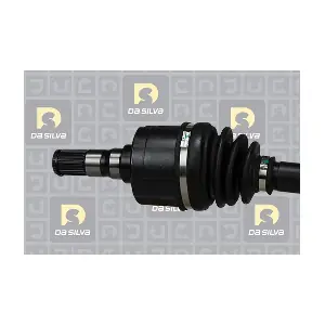 4385T DA SILVA