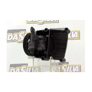 DP2244 DA SILVA