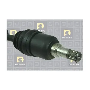5156T DA SILVA