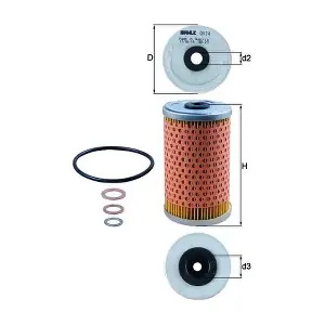 OX34D KNECHT