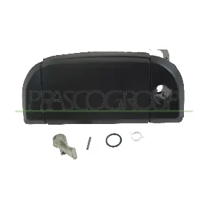 VG9138002 PRASCO