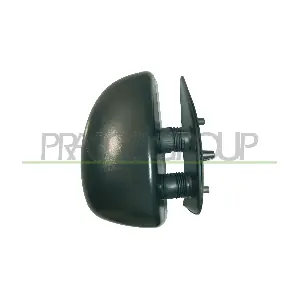 FT9197013 PRASCO