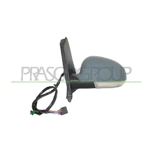 VG0407324P PRASCO