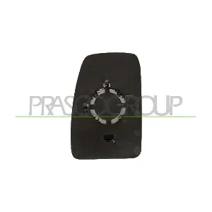 OP9547503 PRASCO
