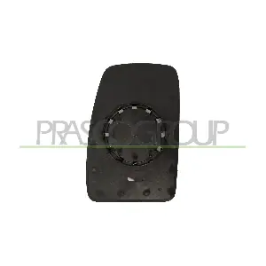 RN9527513 PRASCO