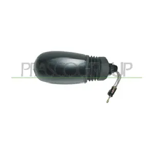 FT1337313 PRASCO
