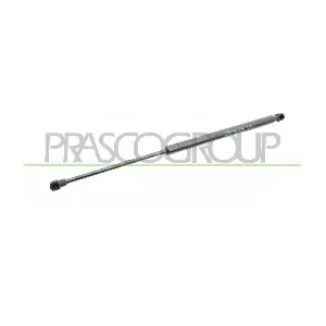 RN3299055 PRASCO