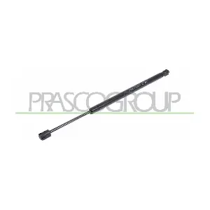 FD4229053 PRASCO