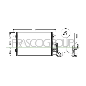 SK418C001 PRASCO