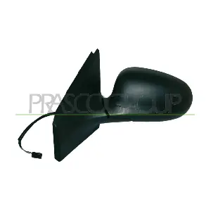 FT1387304P PRASCO