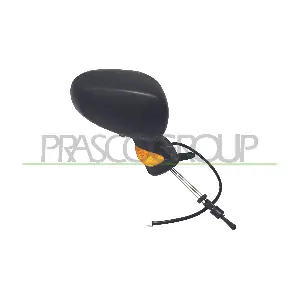 RN3087113P PRASCO