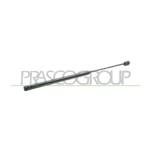 FT3409055 PRASCO