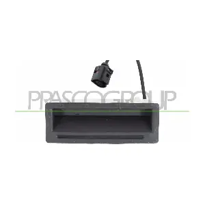 VG8158950 PRASCO