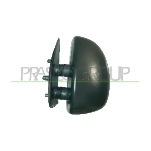 FT9197014 PRASCO