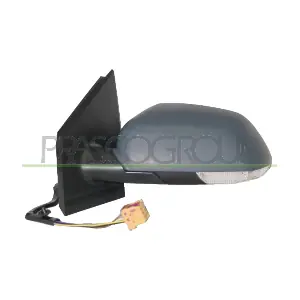 VG0227324 PRASCO