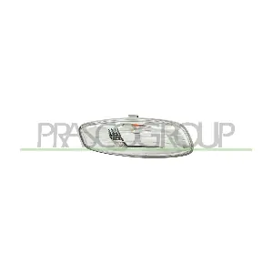 PG3207416 PRASCO
