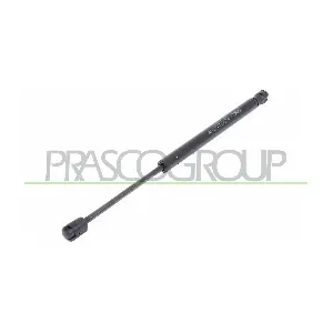 LA4209055 PRASCO