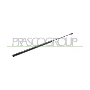 FT9079055 PRASCO