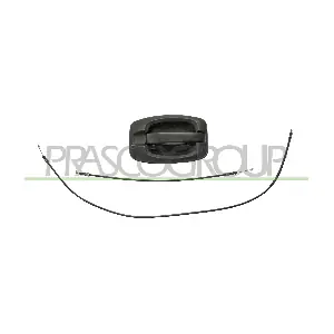 FT9308141 PRASCO
