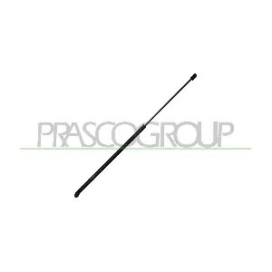 VG0569001 PRASCO