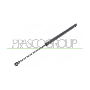 FT1249065 PRASCO