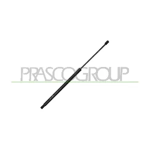 ME9099055 PRASCO