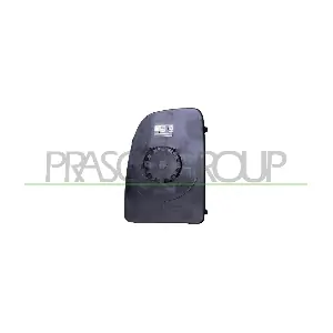 FT9307503 PRASCO