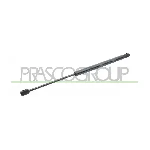 FT1329055 PRASCO