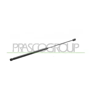 FT0199055 PRASCO