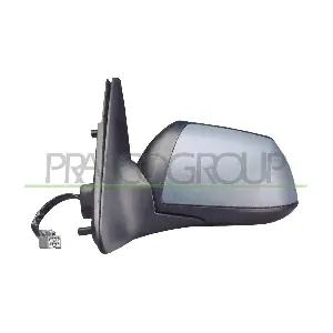 FD1077314 PRASCO