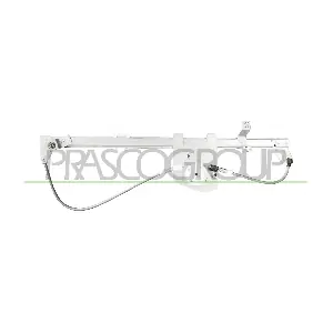 CI954W012 PRASCO