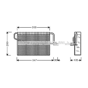 MSV329 PRASCO