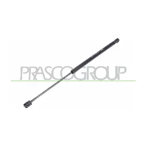 ME3249055 PRASCO