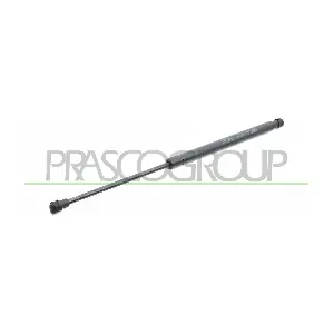 TY3259055 PRASCO